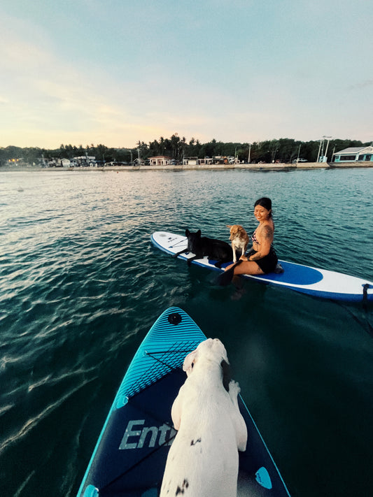 Stand up paddle boarding